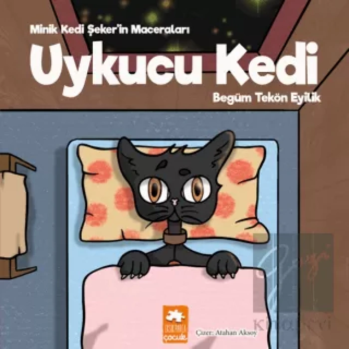 Uykucu Kedi