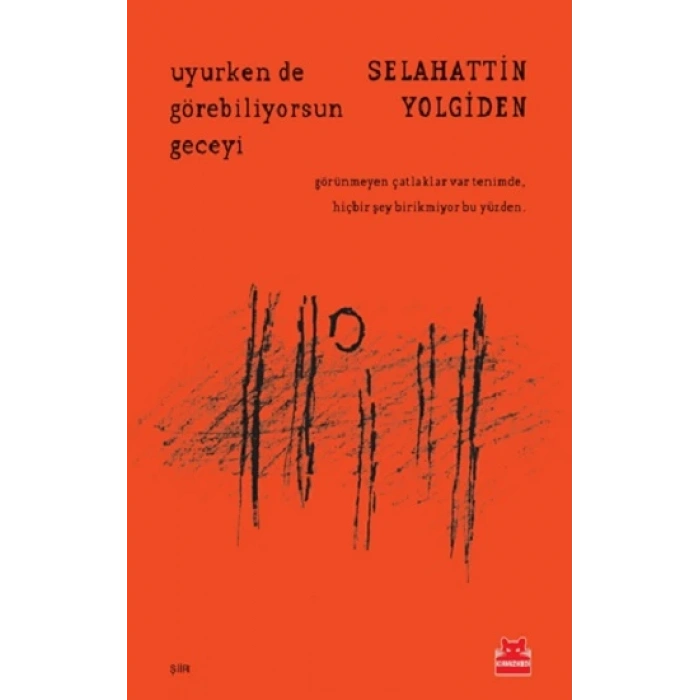 Uyurken de Görebiliyorsun Geceyi