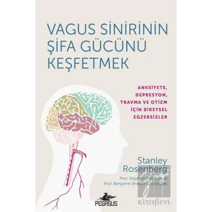 Vagus Sinirinin Şifa Gücünü Keşfetmek