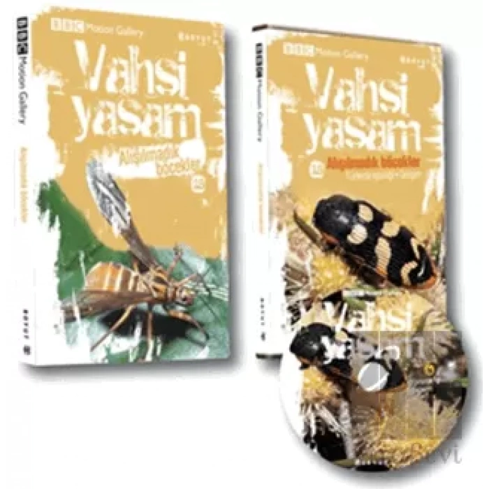 Vahşi Yaşam 2 - Alışılmadık Böcekler