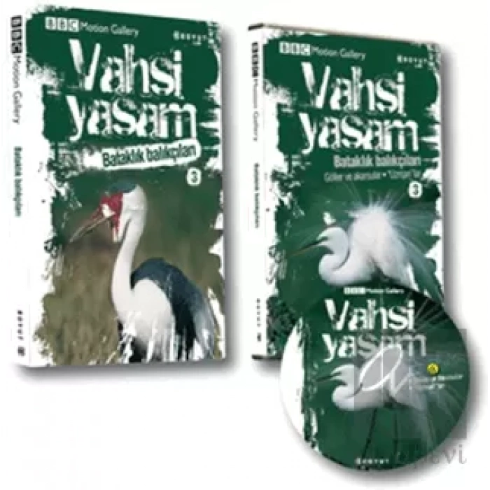 Vahşi Yaşam 2 - Bataklık Balıkçıları