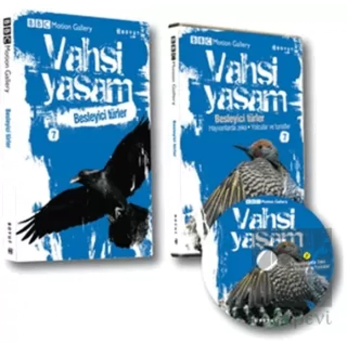 Vahşi Yaşam 2 - Besleyici Türler