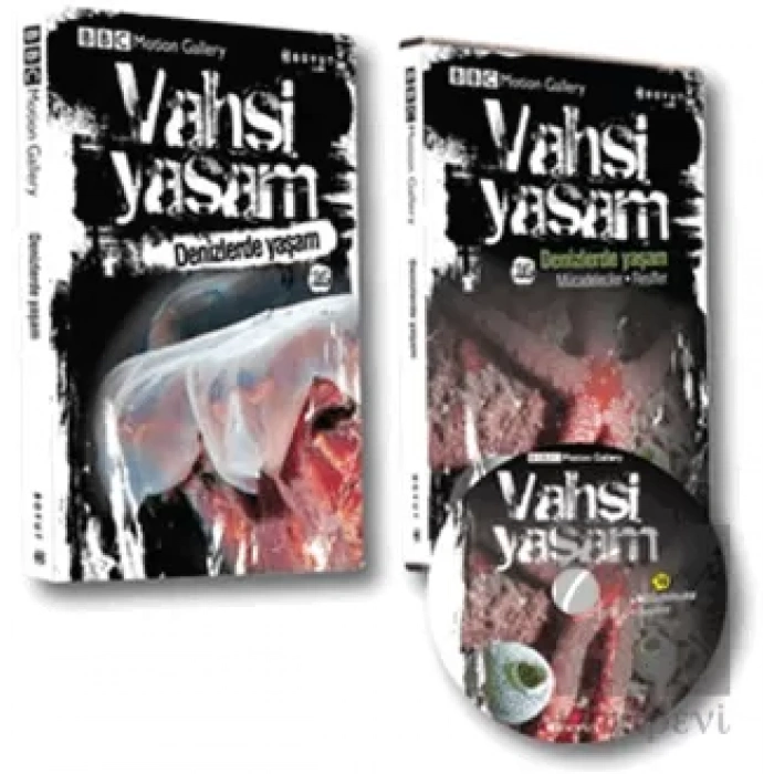 Vahşi Yaşam 2 - Denizlerde Yaşam