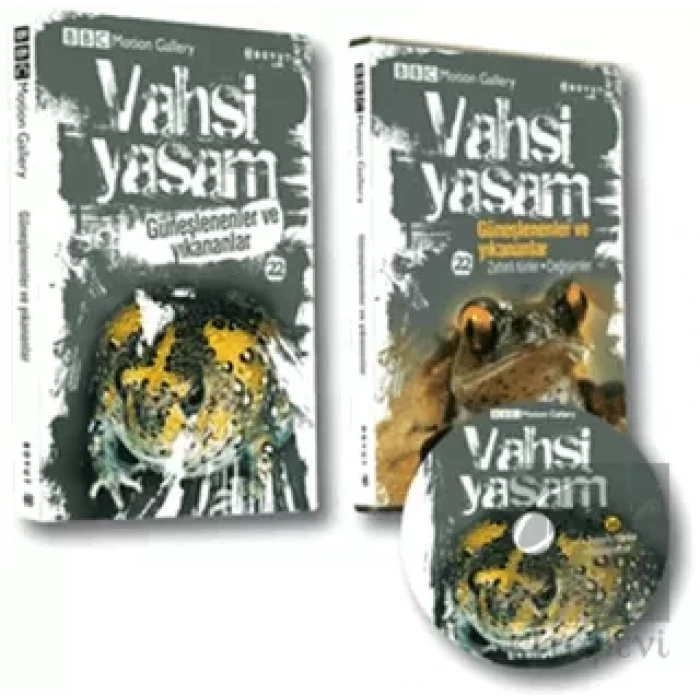 Vahşi Yaşam 2 - Güneşlenenler ve Yıkananlar