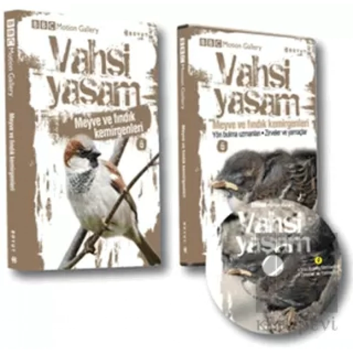 Vahşi Yaşam 2 - Meyve ve Fındık Kemirgenleri