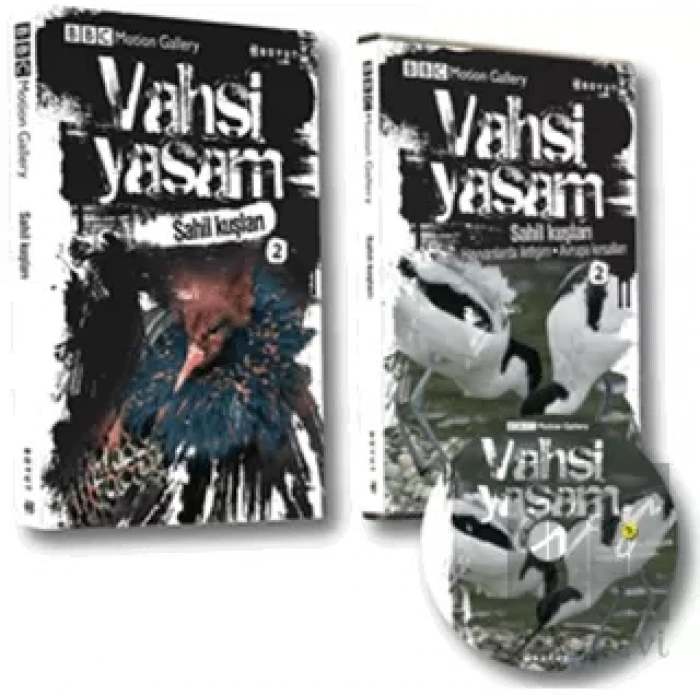 Vahşi Yaşam 2 - Sahil Kuşları