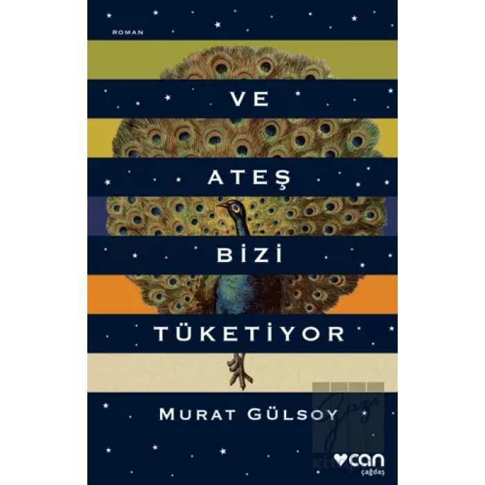 Ve Ateş Bizi Tüketiyor
