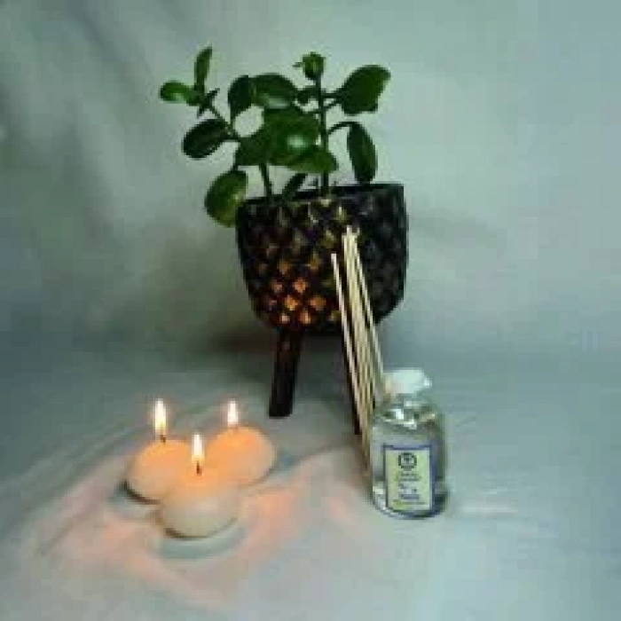 Verbena Citrus Çubuklu Oda Kokusu 50 ml