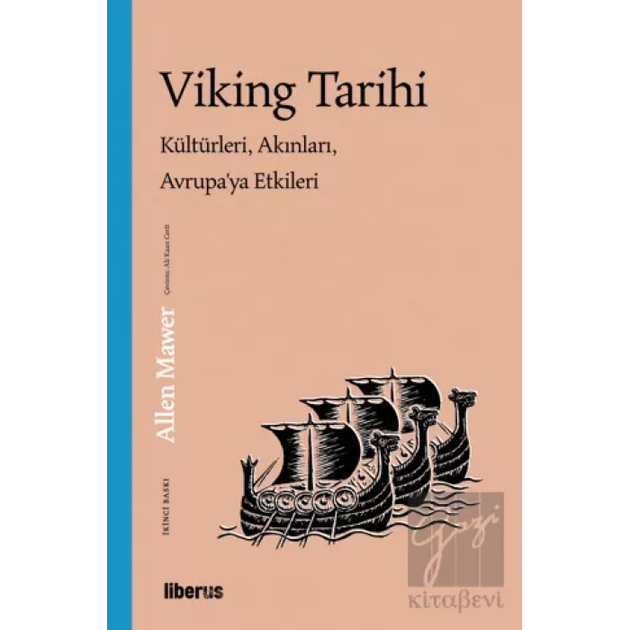 Viking Tarihi