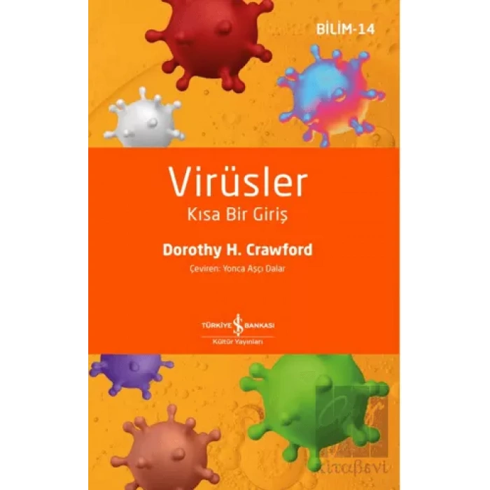 Virüsler