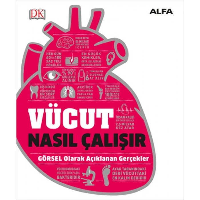 Vücut Nasıl Çalışır (Ciltli)