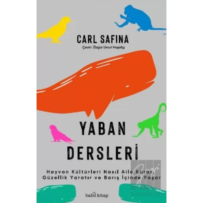 Yaban Dersleri - Hayvan Kültürleri Nasıl Aile Kurar, Güzellik Yaratır ve Barış İçinde Yaşar