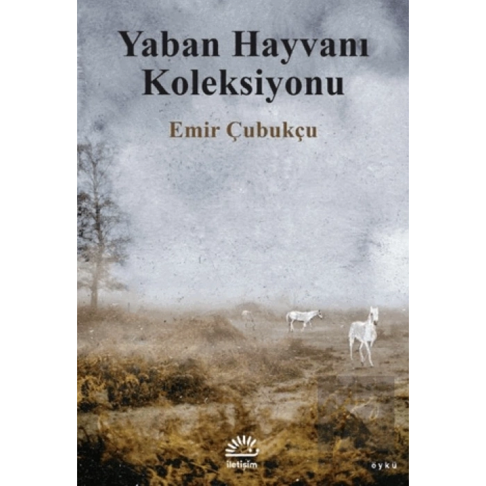 Yaban Hayvanı Koleksiyonu