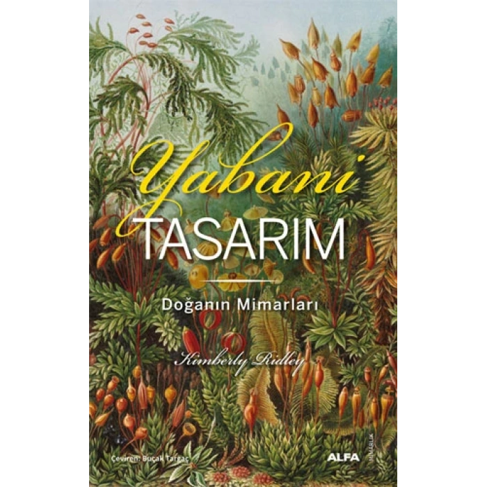 Yabani Tasarım