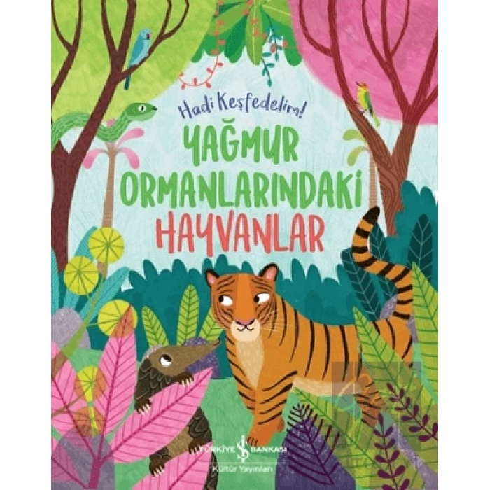 Yağmur Ormanlarındaki Hayvanlar - Hadi Keşfedelim!