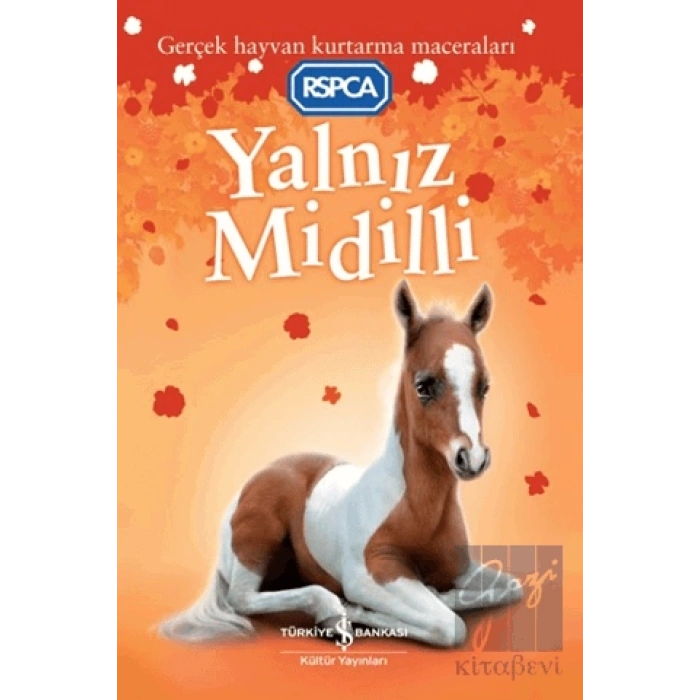 Yalnız Midilli