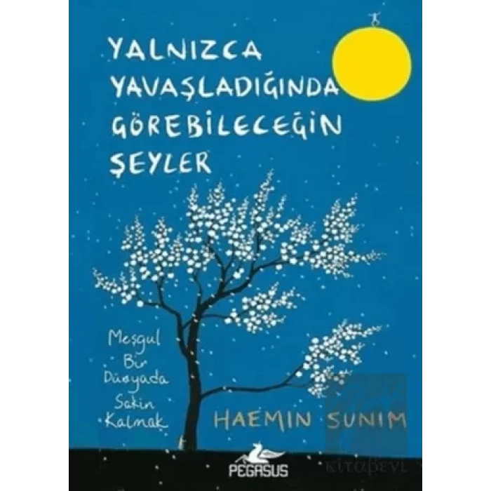 Yalnızca Yavaşladığında Görebileceğin Şeyler