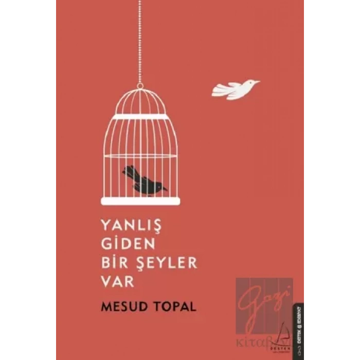 Yanlış Giden Bir Şeyler Var