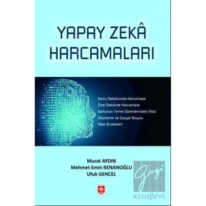 Yapay Zeka Harcamaları