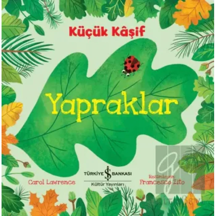 Küçük Kaşif - Yapraklar