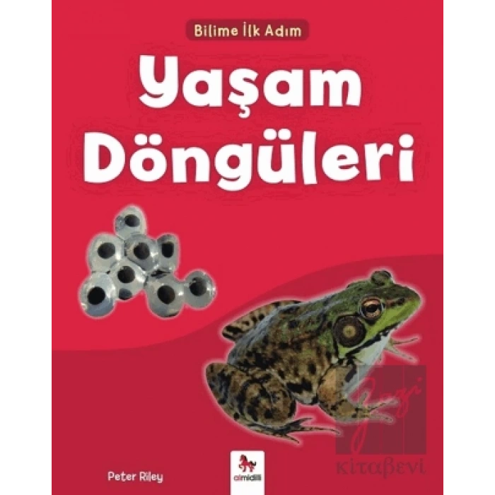 Yaşam Döngüleri - Bilime İlk Adım
