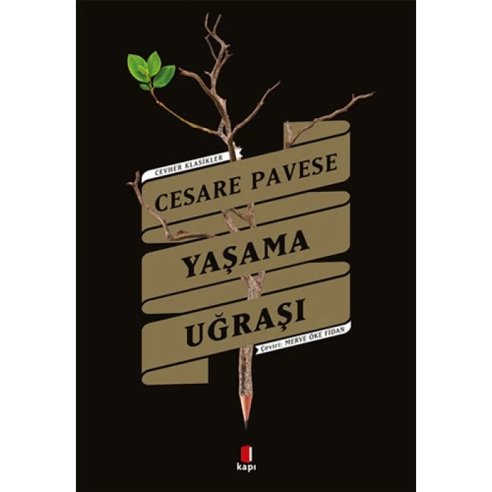 Yaşama Uğraşı