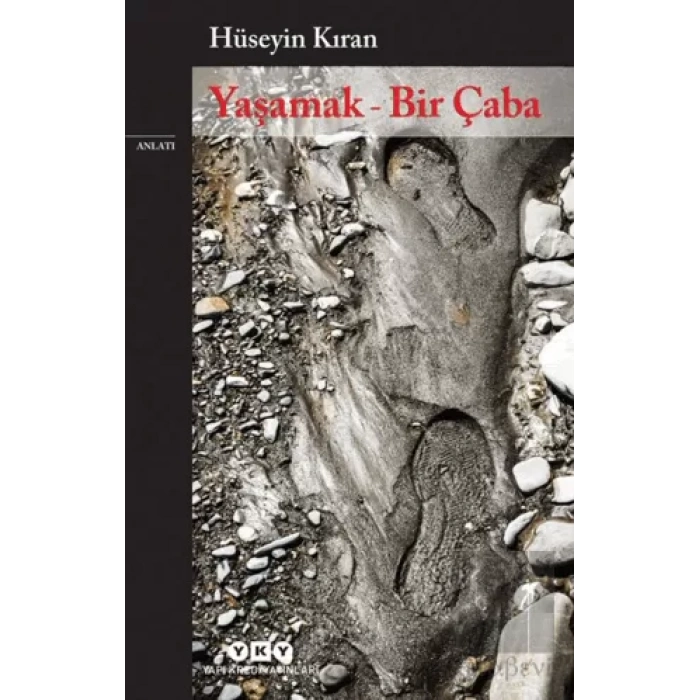 Yaşamak - Bir Çaba