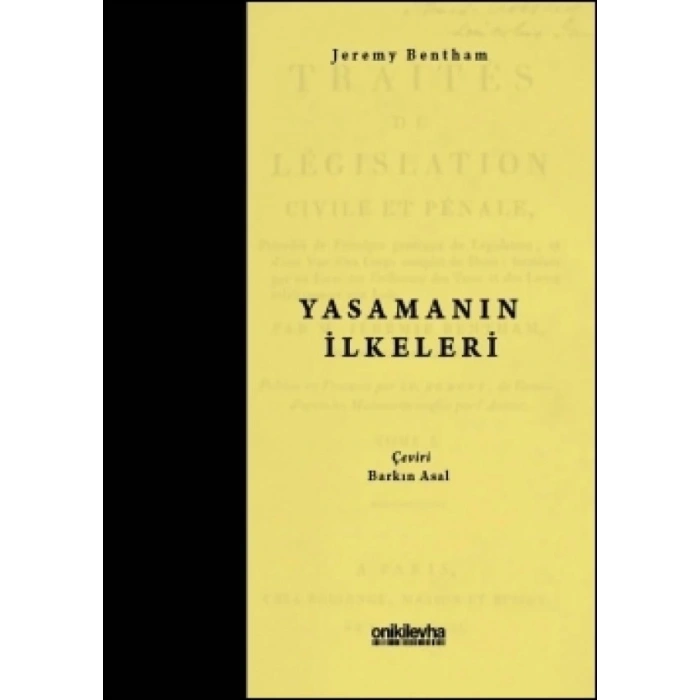 Yasamanın İlkeleri