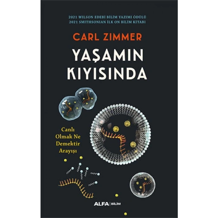 Yaşamın Kıyısında