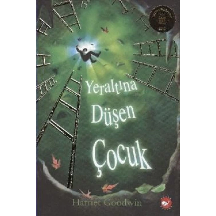 Yeraltına Düşen Çocuk