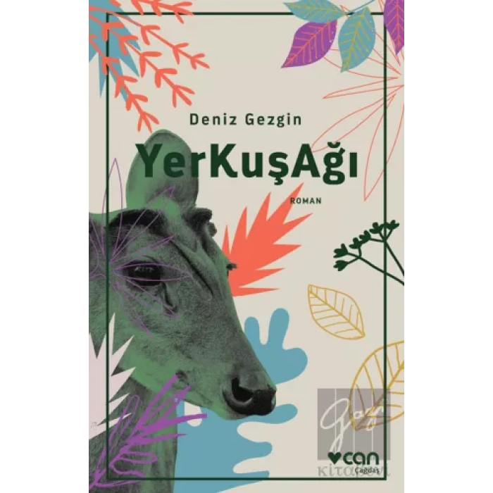 YerKuşAğı