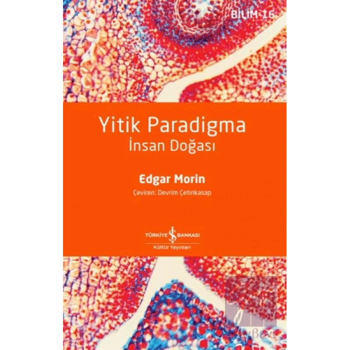 Yitik Paradigma - İnsan Doğası