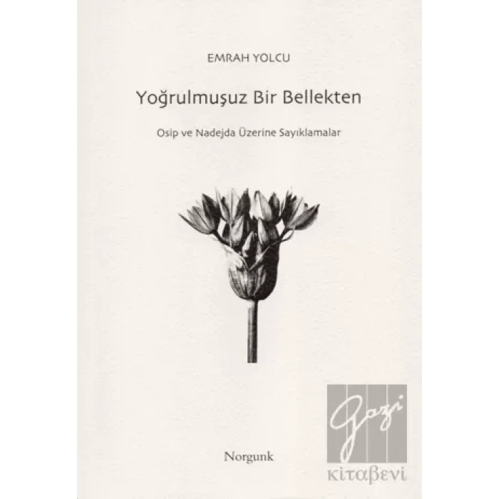 Yoğrulmuşuz Bir Bellekten