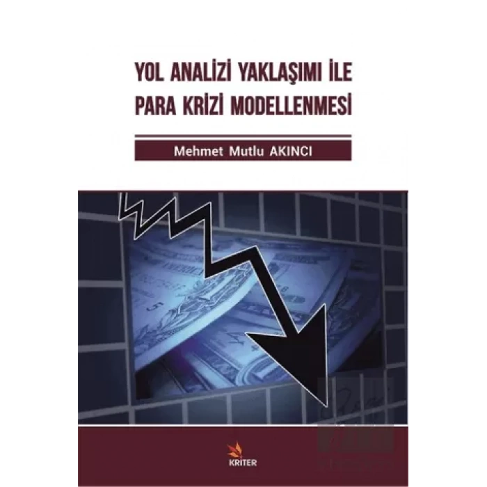 Yol Analizi Yaklaşımı İle Para Krizi Modellenmesi