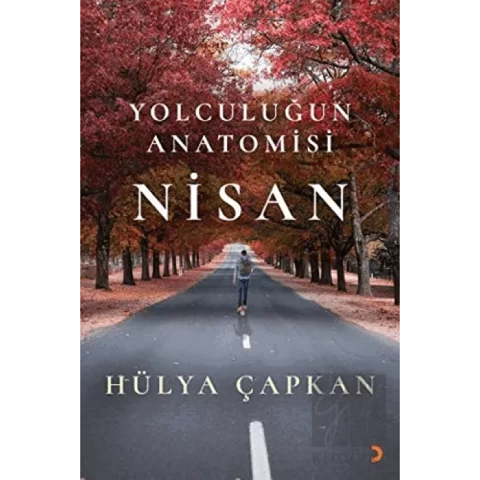 Yolculuğun Anatomisi Nisan