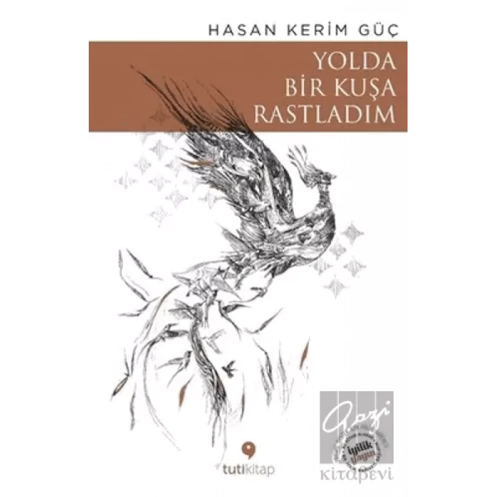 Yolda Bir Kuşa Rastladım