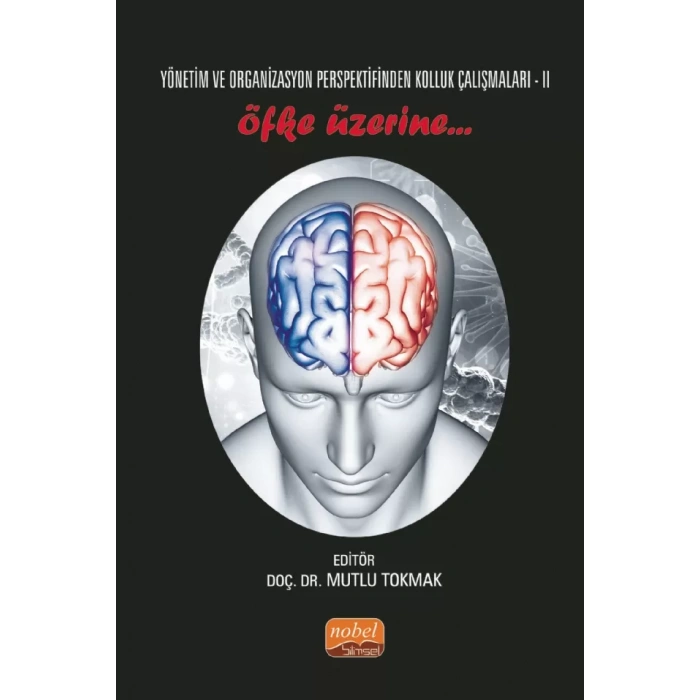 Yönetim ve Organizasyon Perspektifinden Kolluk Çalışmaları II - ÖFKE ÜZERİNE..