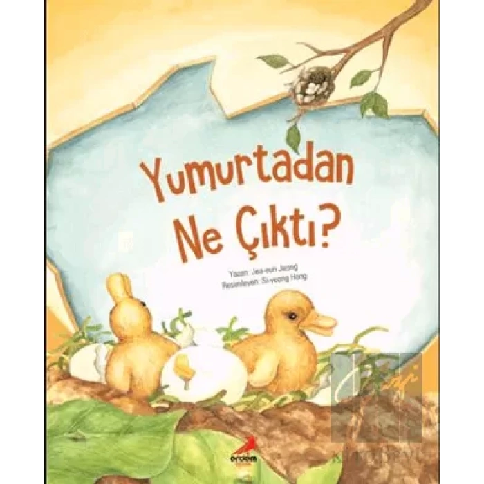 Yumurtadan Ne Çıktı?