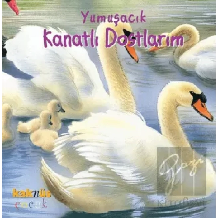 Yumuşacık Kanatlı Dostlarım