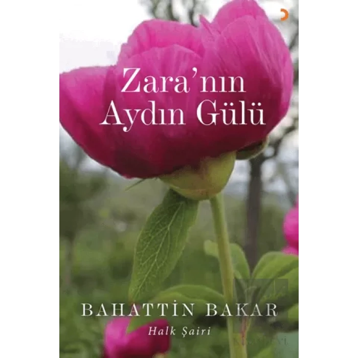Zara’nın Aydın Gülü