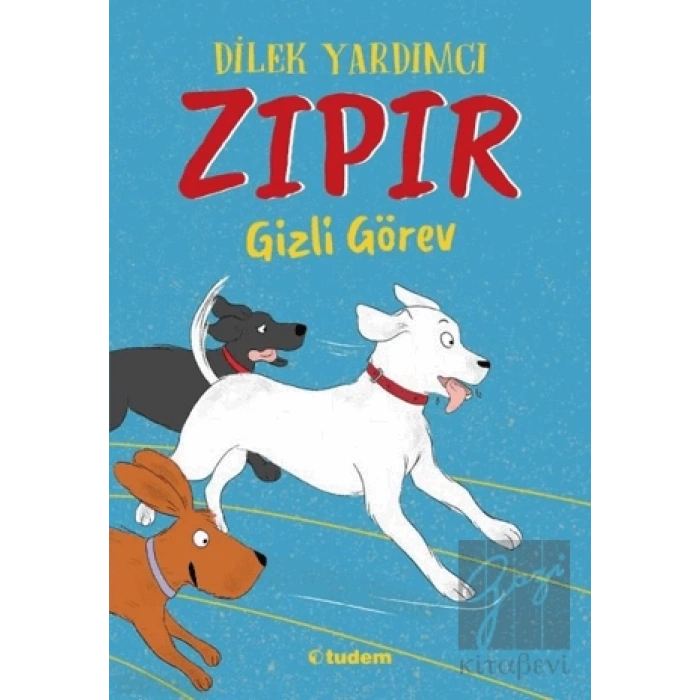 Zıpır Gizli Görev