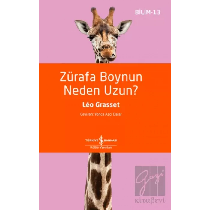 Zürafa Boynun Neden Uzun?