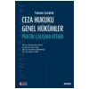 Tamamı ÇözümlüCeza Hukuku Genel Hükümler Pratik Çalışma Kitabı