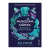 Muazzam Dünya: Beş Duyunun Ötesine Yolculuk
