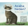 Acaba Neden?
