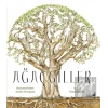 Ağaçgiller