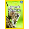 Ağaçtaki Maymun