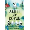 Akıllı Bir Koyun