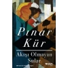 Akışı Olmayan Sular