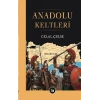 Anadolu Keltleri
